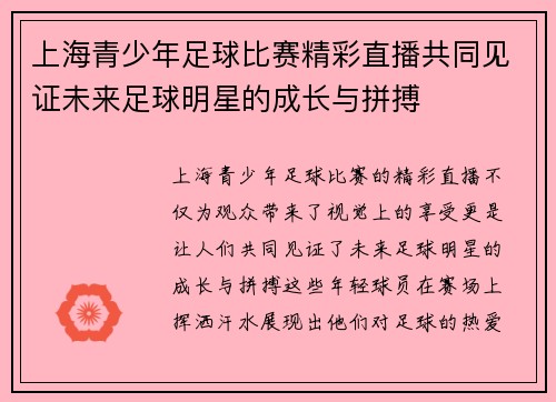 上海青少年足球比赛精彩直播共同见证未来足球明星的成长与拼搏