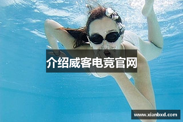 介绍威客电竞官网